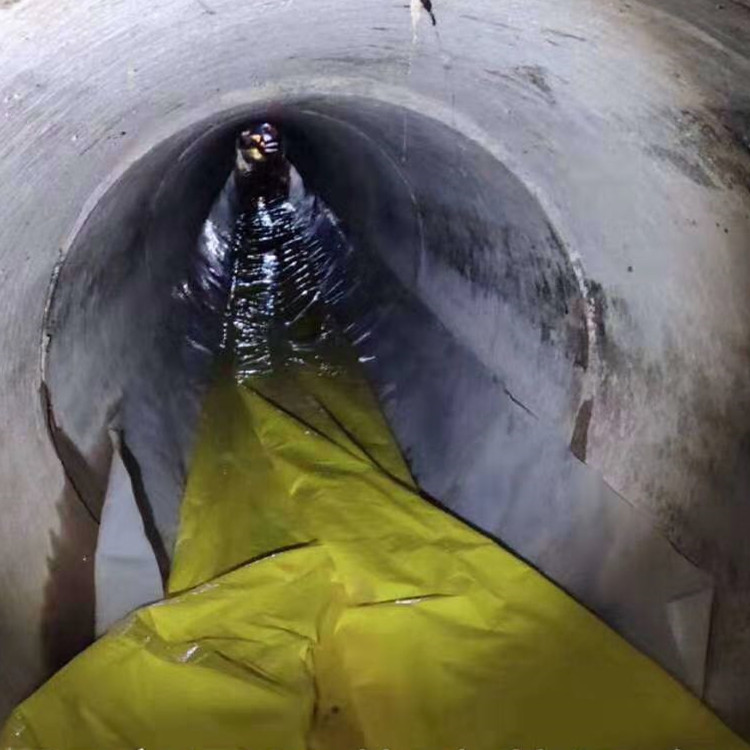 道真管道光固化修复